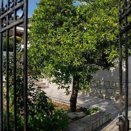 Betty's 4 Seasons In * Αγριά