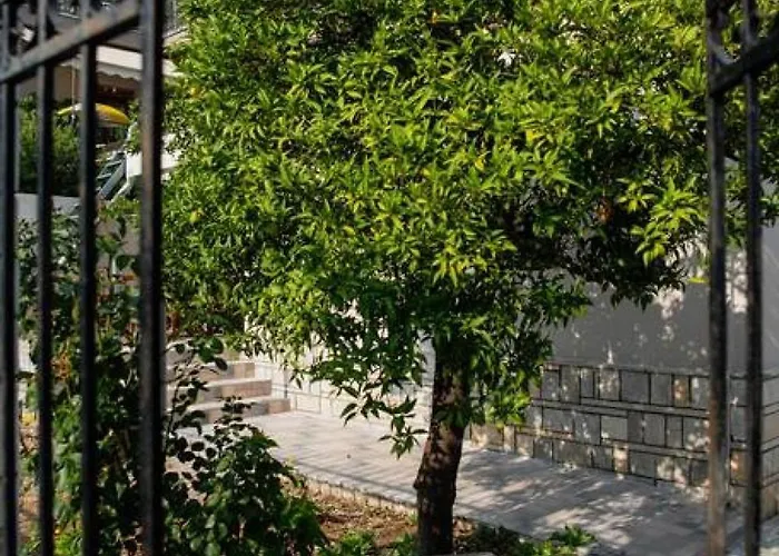 Betty's 4 Seasons In * Agriá